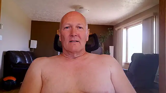 BasicAnt Show in webcam