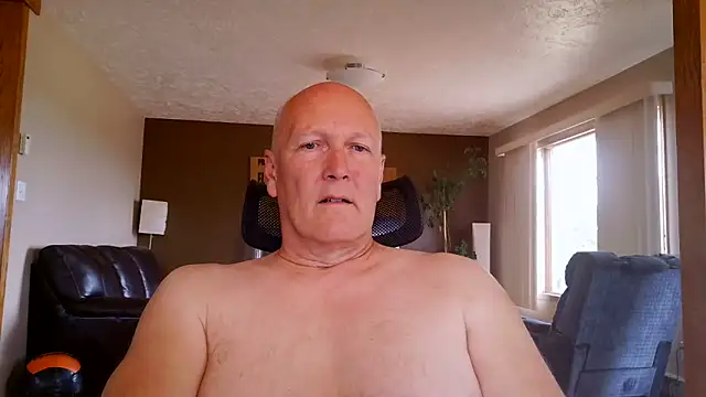 BasicAnt Show in webcam