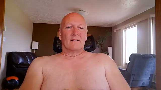 BasicAnt Show in webcam