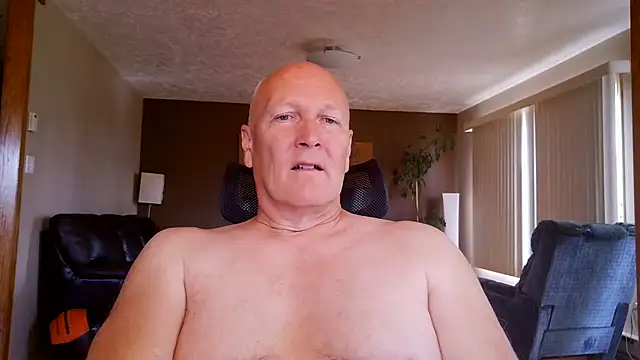 BasicAnt Show in webcam
