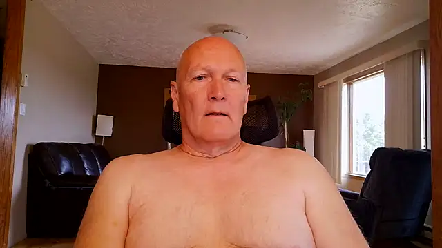 BasicAnt – webcam-show