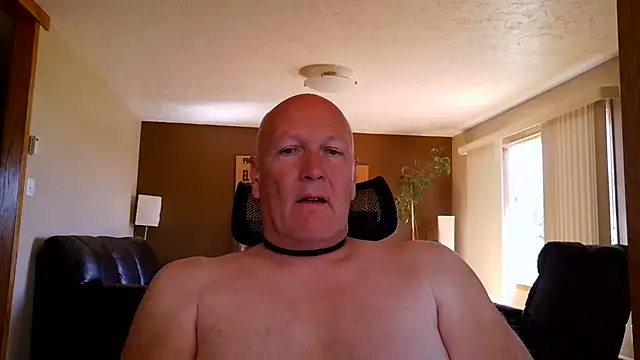 Show de BasicAnt na webcam
