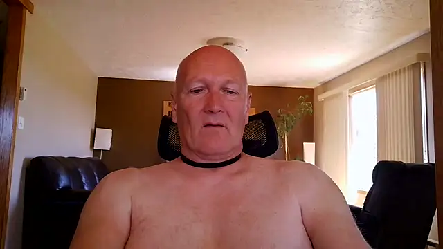 BasicAnt – webcam-show