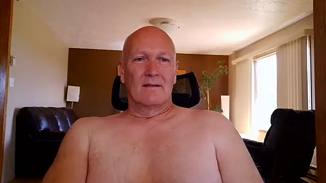 BasicAnt Show in webcam