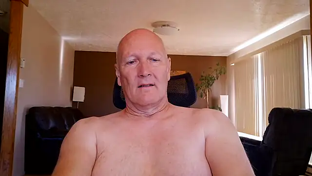 BasicAnt Webcam-Show