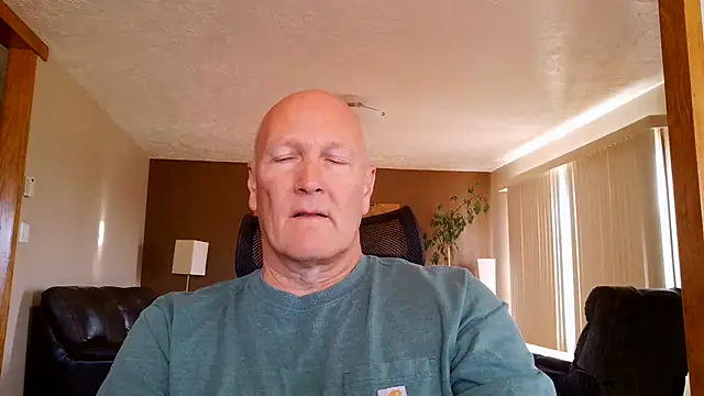 BasicAnt Webcam show