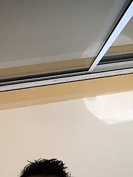 poissinet2n Webbikameraesitys