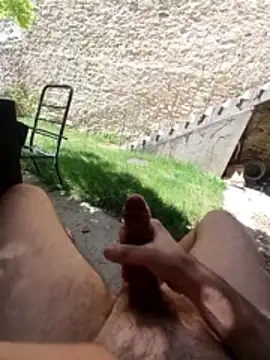 dady-arvey webkamerás műsora