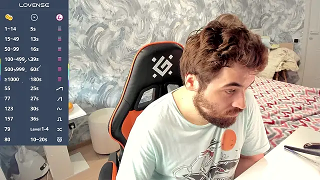Show Webcam de Morlaios