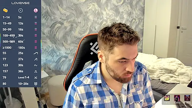 Show Webcam de Morlaios