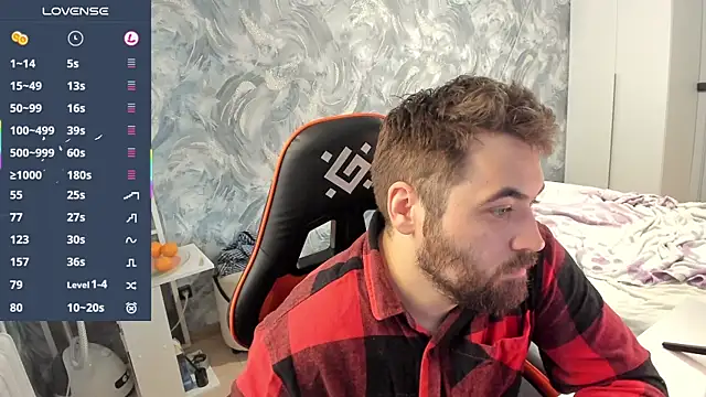 Show Webcam de Morlaios