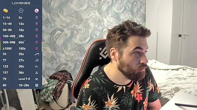 Morlaiosn Webbikameraesitys