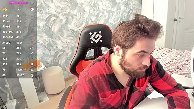 Show webcam de Morlaios