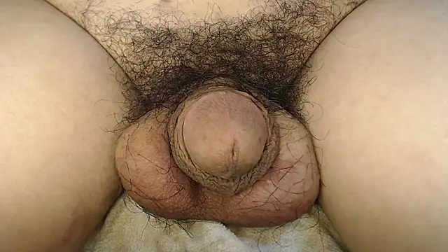 Show Webcam de urnaturalts