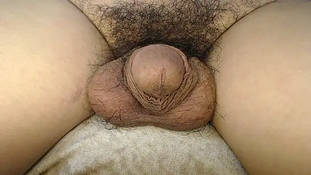 urnaturalts Pertunjukan Webcam