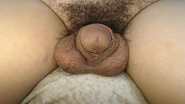 urnaturalts Pertunjukan Webcam