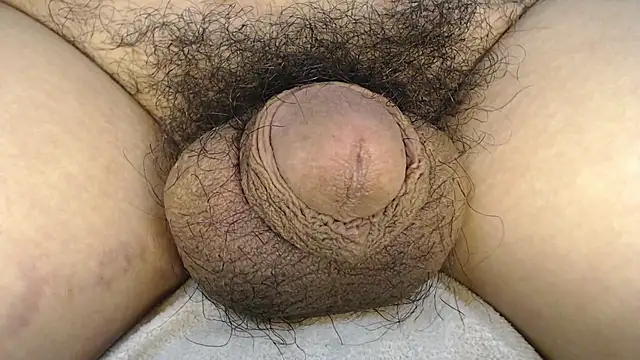 urnaturalts Pertunjukan Webcam
