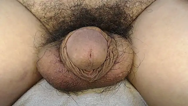 urnaturalts Pertunjukan Webcam