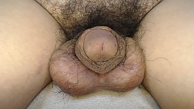 urnaturalts Pertunjukan Webcam