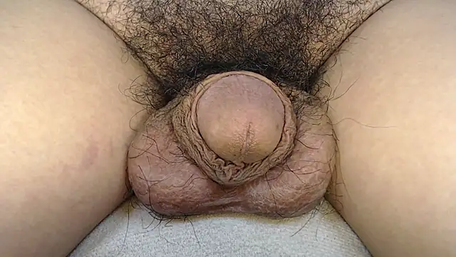 urnaturalts Pertunjukan Webcam