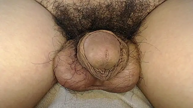 urnaturalts Pertunjukan Webcam