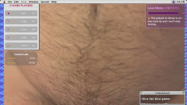 kuntboyzworld Show Webcam