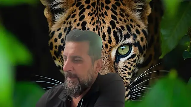 عرض كام TARKAN1