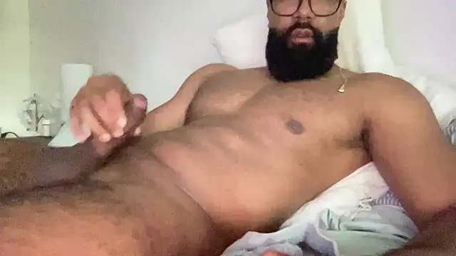 Show webcam de waveonce-