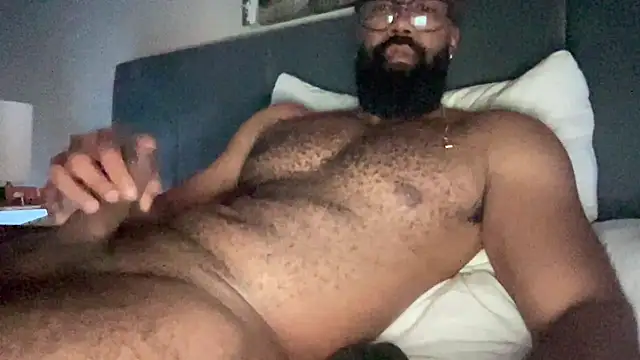 Show Webcam de waveonce-