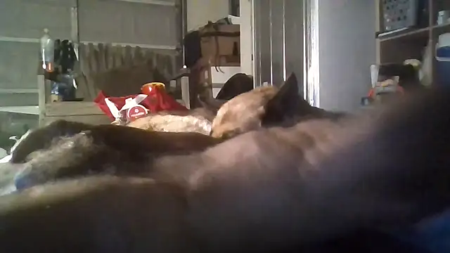 81grandplusthis Adlı Modelin Web Kamerası  Şovu