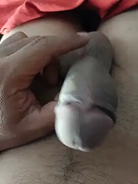 Amdy29 Webcam Show