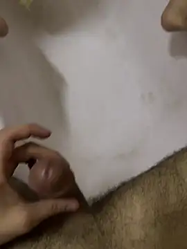 man_cum21n Webbikameraesitys