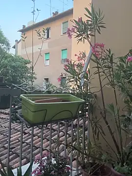 Cherryschiodisegarsi's Webcam Show