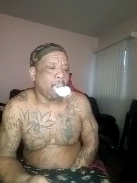 Show Webcam de yellowwetfox