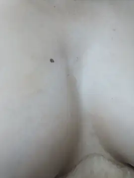 PUNAM456 Adlı Modelin Canlı XXX Sohbeti