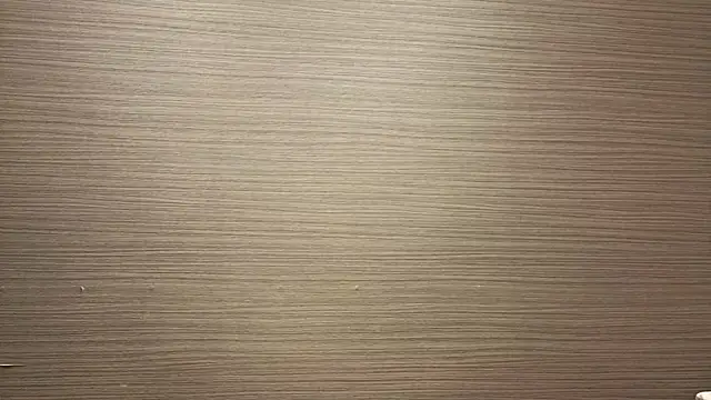 CHROME-kun925のウェブカメラショー