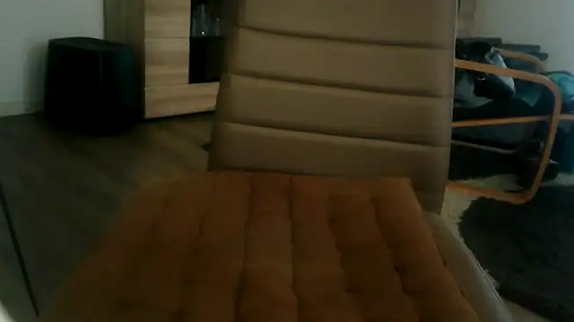 Show webcam de lattenjo