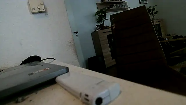 lattenjon Webbikameraesitys