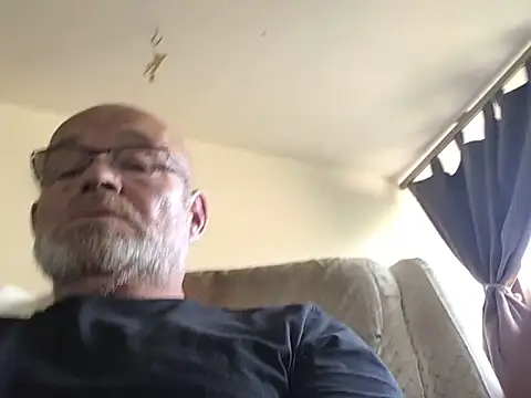 harburger40 webcam show