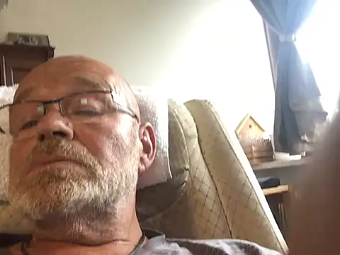 harburger40 Webcam-Show