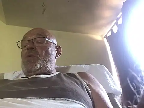 harburger40 Webcam-Show