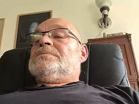 Show Webcam de harburger40