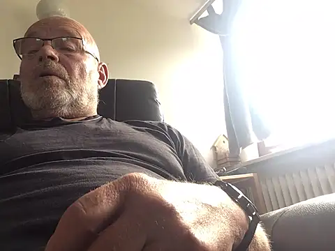 harburger40 Webcam-Show