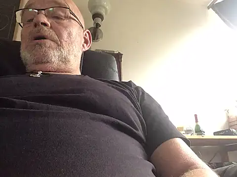 harburger40 Webcam-Show