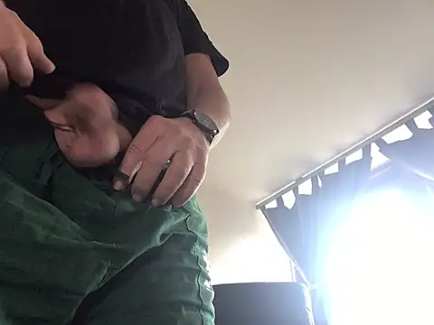 harburger40 Webcam-Show
