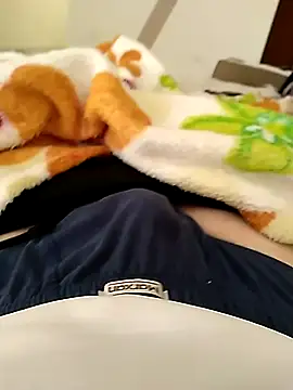 Show webcam de Gallanttrox