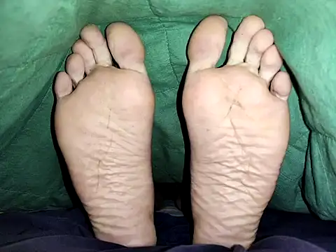 عرض كام Plevor