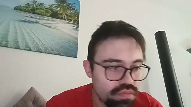 Stevus31n Webbikameraesitys