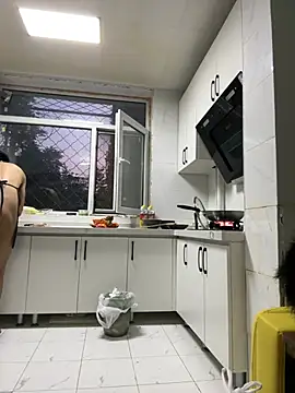 Show webcam de CNYASTUR
