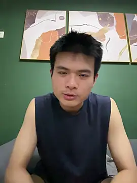 CNYASTURn Webbikameraesitys
